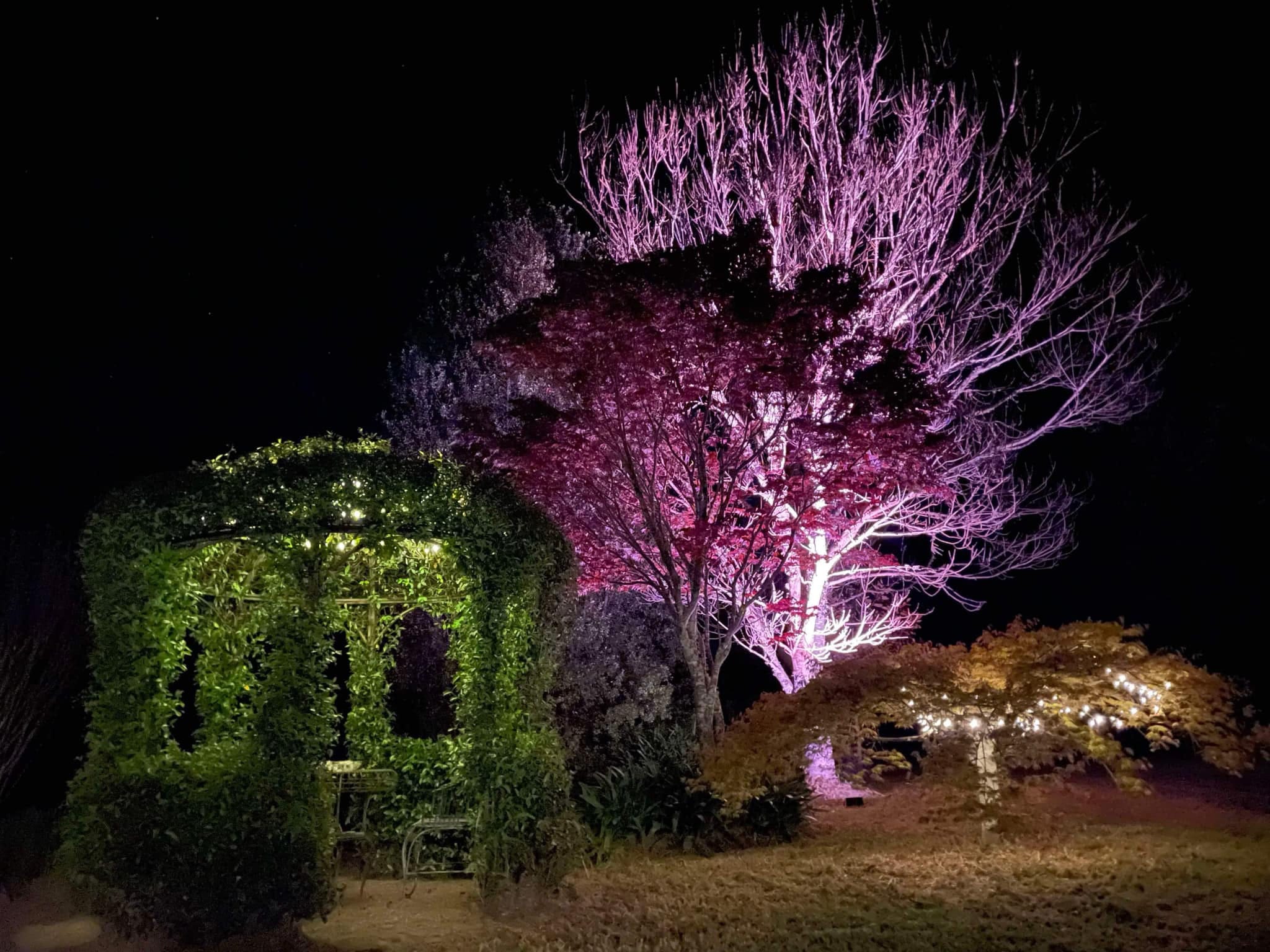 Battery Uplights at Wedding